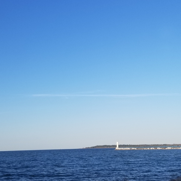 Help my dog rambo - Picture 6 of 8